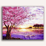 Cherry Blossom Calm