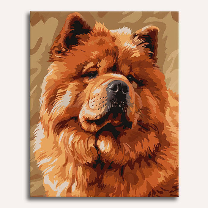 Chow Chow