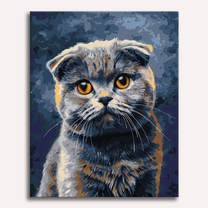 Scottish Fold