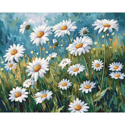 Daisy Field