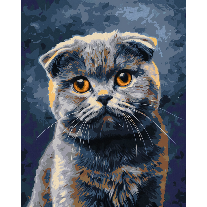 Scottish Fold